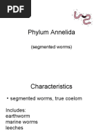 Phylum Annelida: (Segmented Worms)