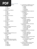 Autoevaluacion Sistema Oseo y Muscular