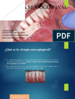 Cirugia Mucogingival Perio