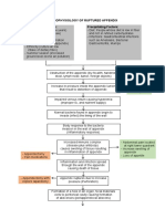 Pathophysiology of Ruptured Appendix