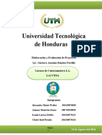 Informe Final Proyectos