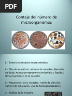 Contaje de Microorganismos