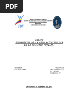 Ensayo Fundamentos de La Regulación Pública en La Relación Privada.