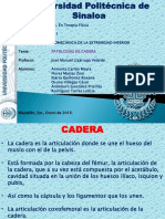 Patologias de Cadera