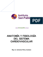 Clase Sistema Cardiovascular