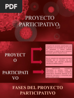 Proyecto Participativo