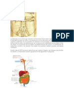 FISIOLOGÍA