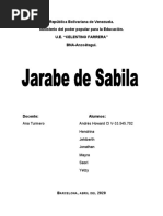 Proyecto de Sabila 6to Grado UE CELESTINO FARRERA