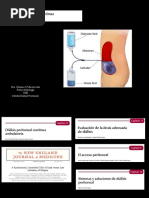 2 Dialisis Peritoneal Continua Ambulatoria