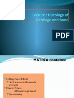 Lecture: Histology of Cartilage and Bone