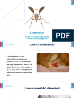 Leishmaniasis Presentacion Isis