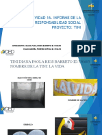 Actividad 16 Informe de La Practica en Responsabilidad Social