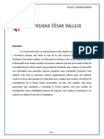 Informe Proyect Management