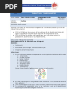 Trabajo Final Indicaciones