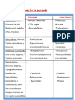 Clasificacion de La Micosis