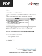 PDF Documento