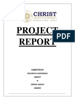 Project Report Graphics