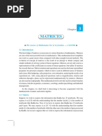 Matrices: The Essence of Mathematics Lies in Its Freedom. - CANTOR