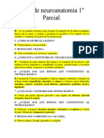 Guía de Neuroanatomía 1° Parcial