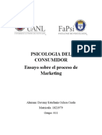 Ensayo Sobre El Proceso de Marketing