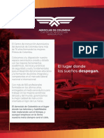 Aviacion 1PCA - Programa Aeroclub