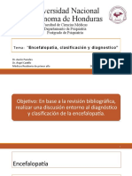 Tema Encefalopatías Clasificación y Diagnóstico Clínico