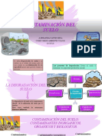 Contaminacion Del Suelo