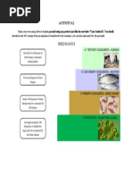 Lesson 8 Activity 8.2