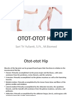 Otot-Otot Hip: Sari Tri Yulianti, S.FT., M.Biomed