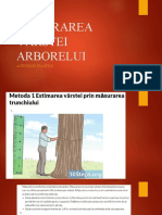 Măsurarea Vârstei Arborelui