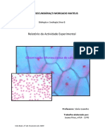 Observação Microscópica de Células: Relatório Da Actividade Experimental
