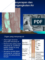 Pertemuan 4 (Penyerapan Dan Pengangkutan Air)