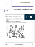 PL-2 - El Fuego y Los Incendios Forestales