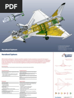 Naval Typhoon Cutaway