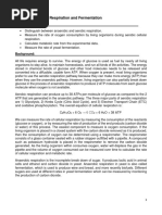 7AMN101 Cellular Respiration and Fermentation 