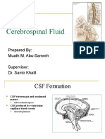 Cerebrospinal Fluid: Prepared By: Muath M. Abu-Samreh Supervisor: Dr. Samir Khalil