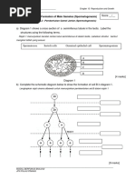 WORKSHEET 13.2 Formation of Male Gametes (Spermatogenesis)