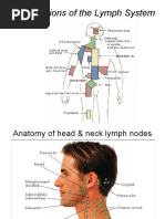 Conditions of The Lymph System