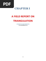 Chapter I A Field Report On Triangulatio