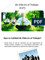 Calidad de Vida en El Trabajo (CVT)