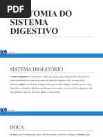 Anatomia Do Sistema Digestivo