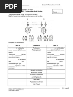 WORKSHEET 13.5 Formation of Twins