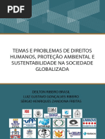 Temas e Problemas de Direitos Humanos PR