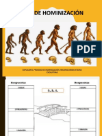 Proceso de Hominizacion Ciclo 3