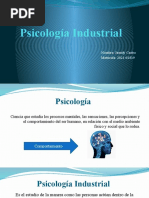 Psicología Industrial Diapositiva