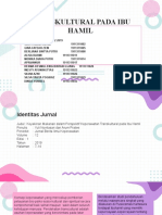 Review Jurnal - Transkultural Pada Ibu Hamil