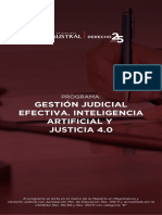 Gestion Judicial Efectiva Programa 2020.x79495