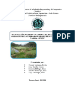 Informe de Laguna de Oxidacion de Picoy