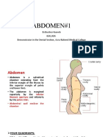 Abdomen#1: DR - Bushra Haseeb BDS, Rds Demonstrator in The Dental Section, Azra Naheed Medical College