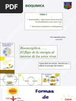 Tema 2 Bioenergética, Leyes y Energia Libre 20202